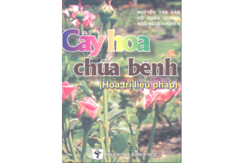 10 loại cây cảnh có tác dụng chữa bệnh