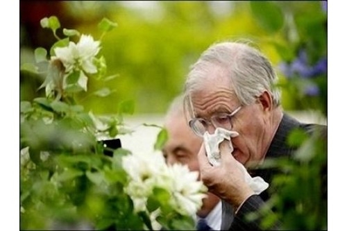 20 Thực Phẩm Mùa Đông Tốt Nhất Cho Cơ Thể