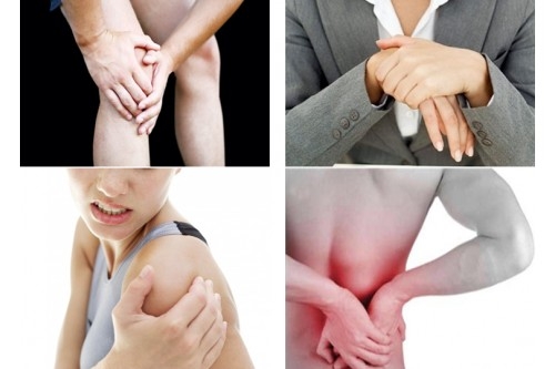 6 cây thuốc nam chữa bệnh đau nhức xương khớp hiệu quả