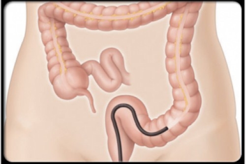 Ăn thực dưỡng nhai như thế nào là đúng trật tự thiên nhiên