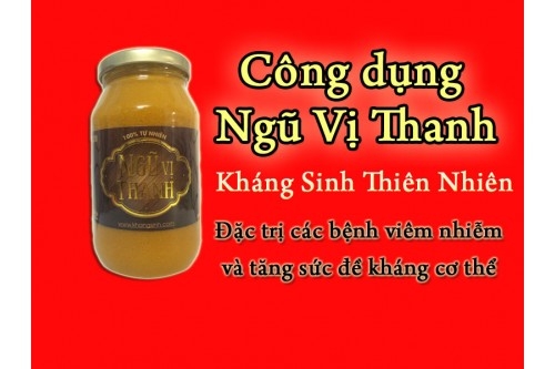 Bài thuốc ngũ vị thanh cực kỳ tốt cần có trong tủ mỗi gia đình