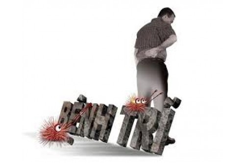 Các bài thuốc chữa trĩ từ “cây nhà lá vườn”