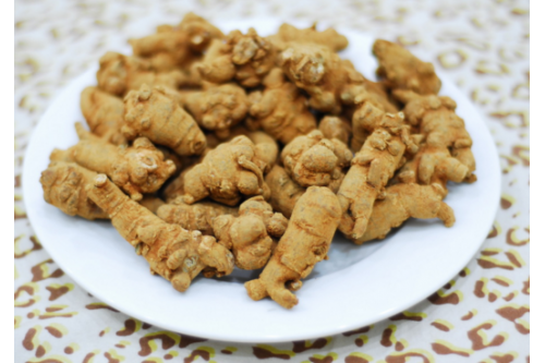 Củ Tam Thất Bắc