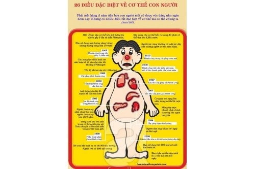 Dịch bệnh dồn dập