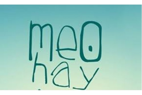 Dưới đây là 25 mẹo chữa bệnh bạn nên tham khảo: