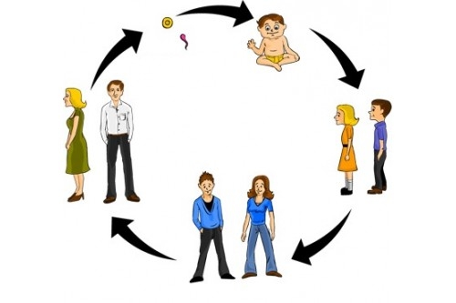 Dưỡng sinh sống lâu trăm tuổi, Sách hoàng đế nội Kinh