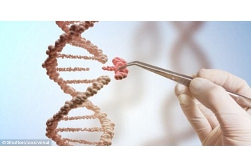 Liệu pháp gen là gì?