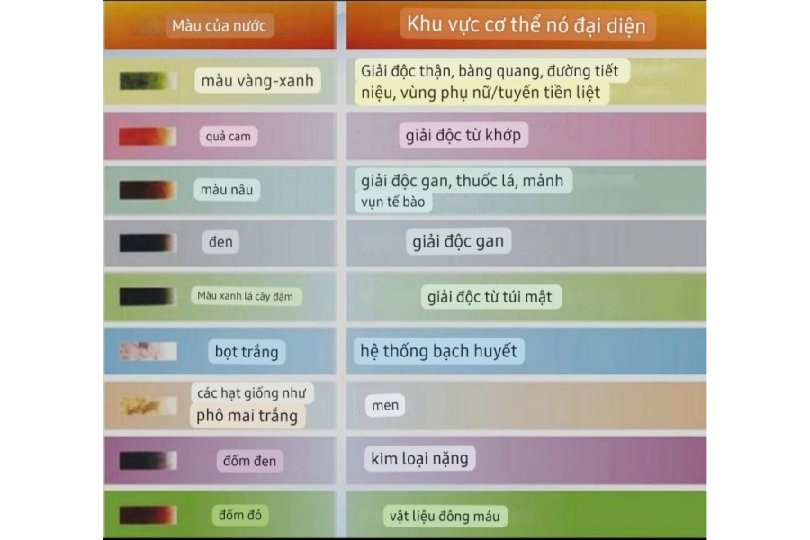 Máy thải độc máu và giảm mỡ bụng