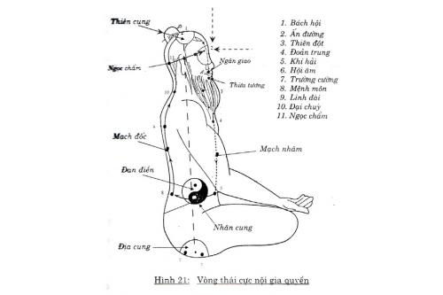 Món quà để lại lúc lâm chung của một vị Thầy thuốc Trung y cao tuổi, thật quá tuyệt vời!