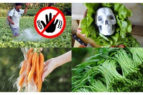 Ngâm rau quả vào nước muối, sai lầm tai hại cần bỏ ngay