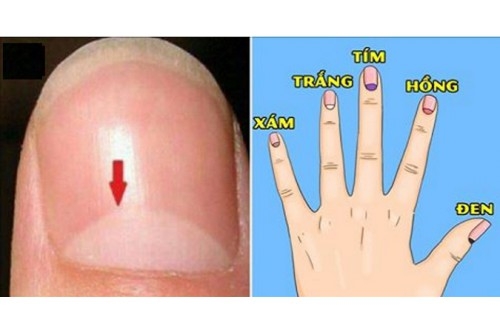 Ngũ hành ứng với 5 ngón tay trên cơ thể