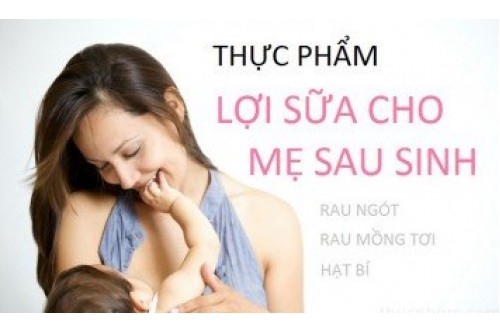 Những thực phẩm lợi sữa mà không cần ăn chân giò