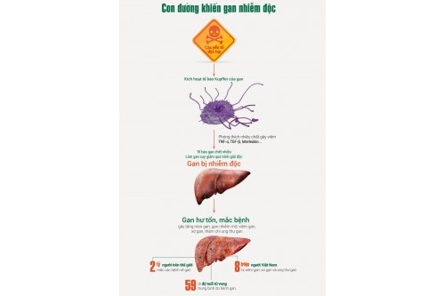 Sát thủ hại gan