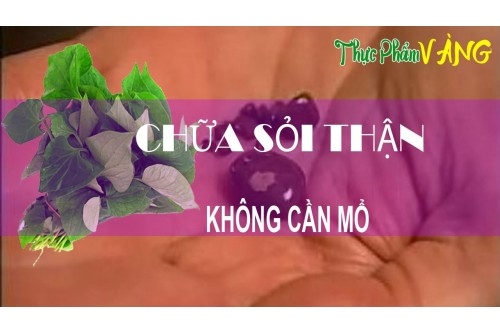 Top nhung thực phẩm tốt cho thận và không tốt cho thận