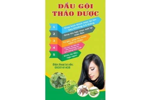 Trị gầu hiệu quả